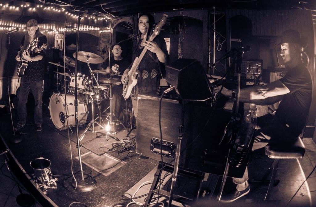 ORGANic Funk Alliance 1 organic funk alliance