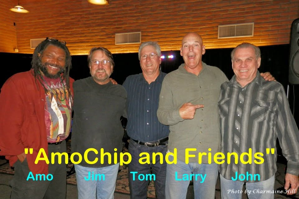 amochip dabney 2012 charmaine hill
